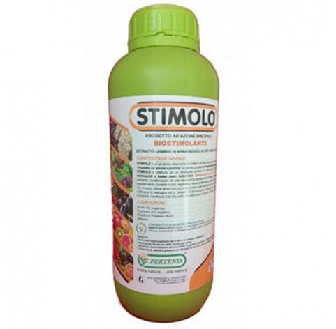 STIMOLO 1L. STIMOLO 1L.