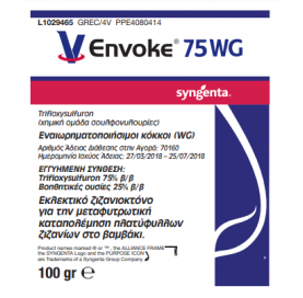 ENVOKE 75WG 100GR
