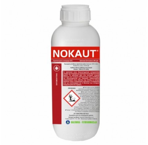 NOKAUT 100cc