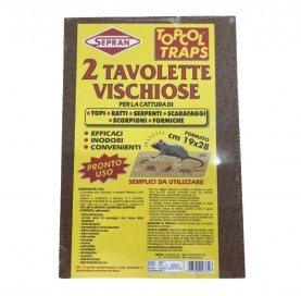 ΠΑΓΙΔΑ ΜΕ ΚΟΛΛΑ ΓΙΑ ΠΟΝΤΙΚΟΥΣ ΚΑΙ ΑΡΟΥΡΑΙΟΥΣ