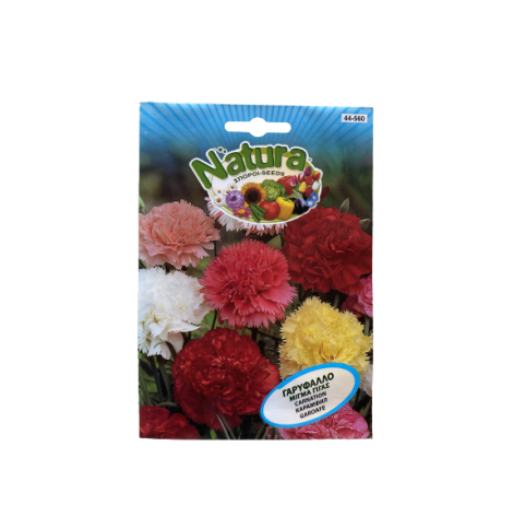 Γαρύφαλλο μίγμα γίγας 7gr