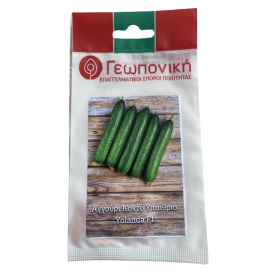 Αγγούρι κοντό υπαίθριο Yolanda F1 1 g