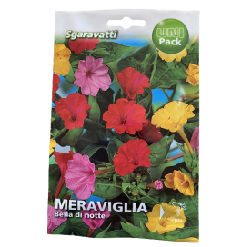 Meraviglia Bella Di Notte 8g