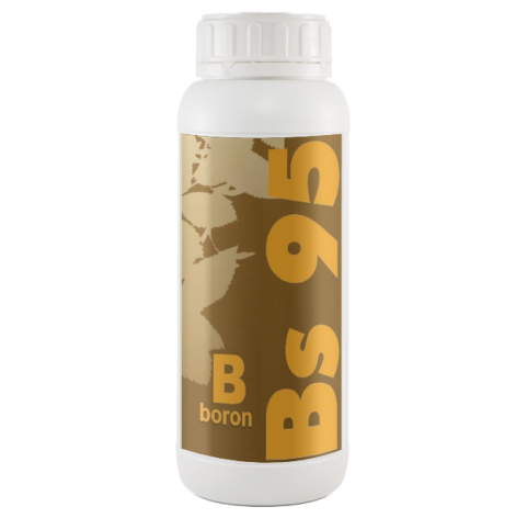 BS 95 BOR 1 lt.