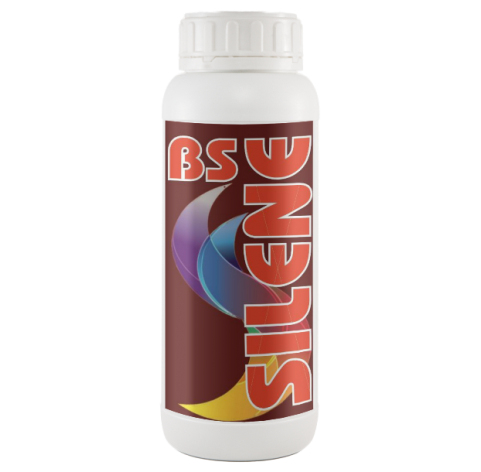 BS SILENE 1 lt.